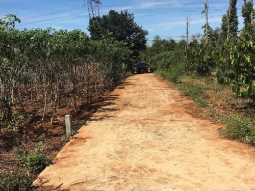 Bán đất Cư Suê Thôn 2 2