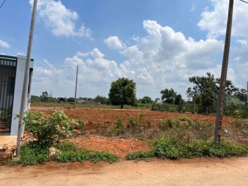 Bán đất hẻm Cây Phượng Tỉnh Lộ 8