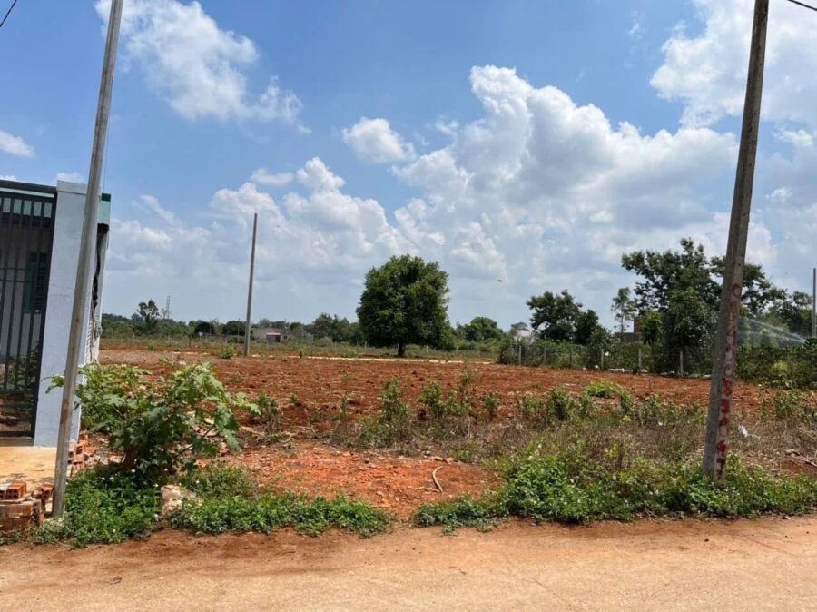 Bán đất hẻm Cây Phượng Tỉnh Lộ 8