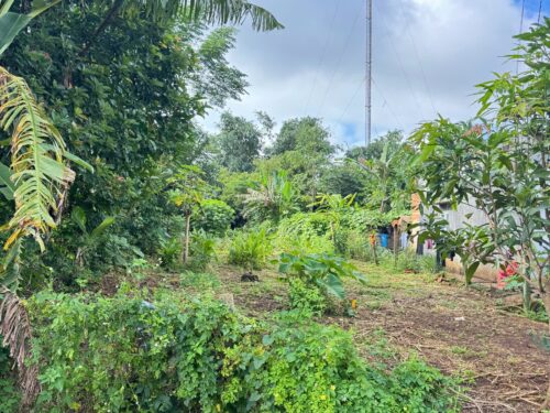 Bán đất sát hồ Ea Nhái 10x50m