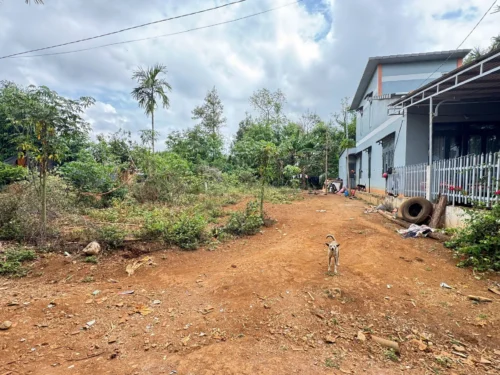 Chợ Trung Hòa QL 27