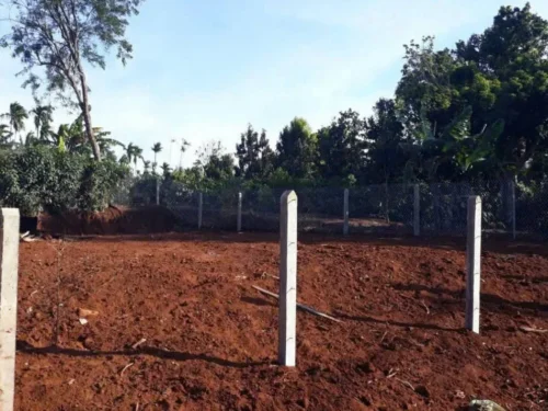 Hẻm Cấp 1 Đại Lộ Đông Tây