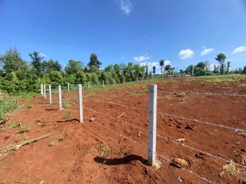 Hẻm 30/4 Đường Vành Đai