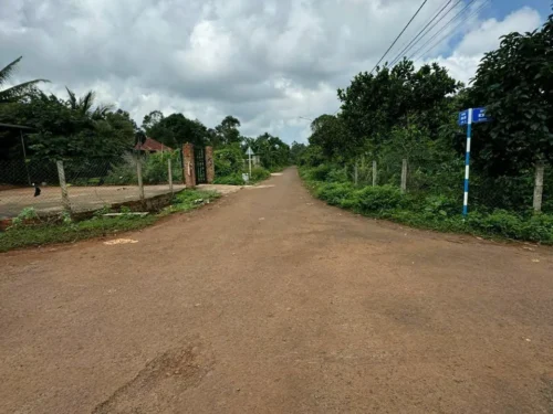 đất mặt tiền D3