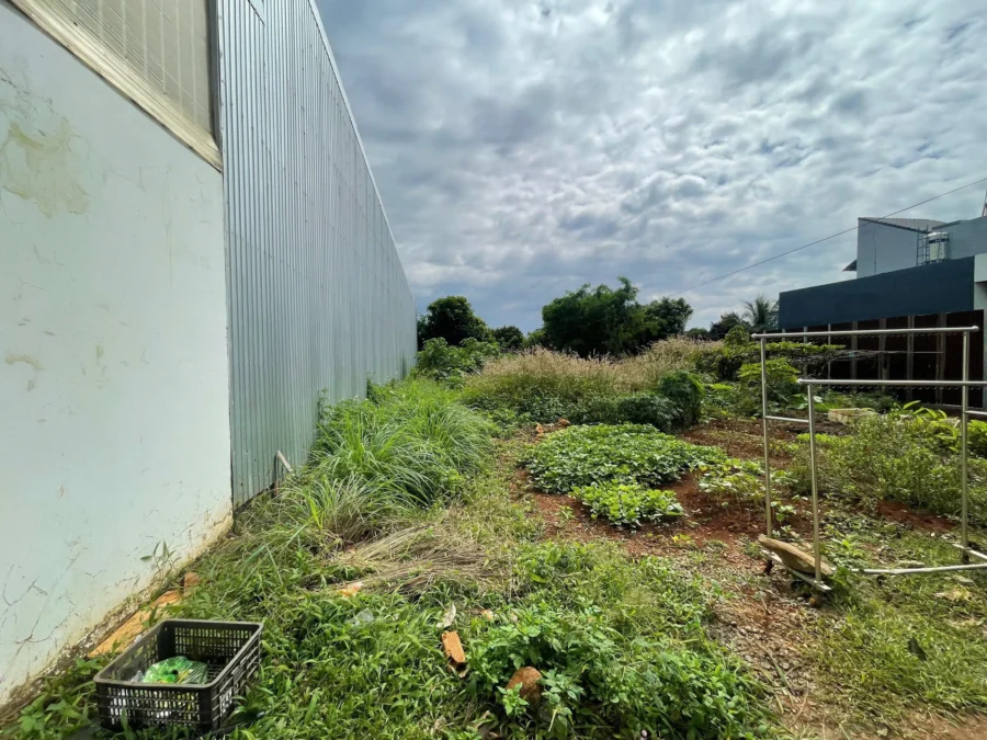 hẻm giải phóng