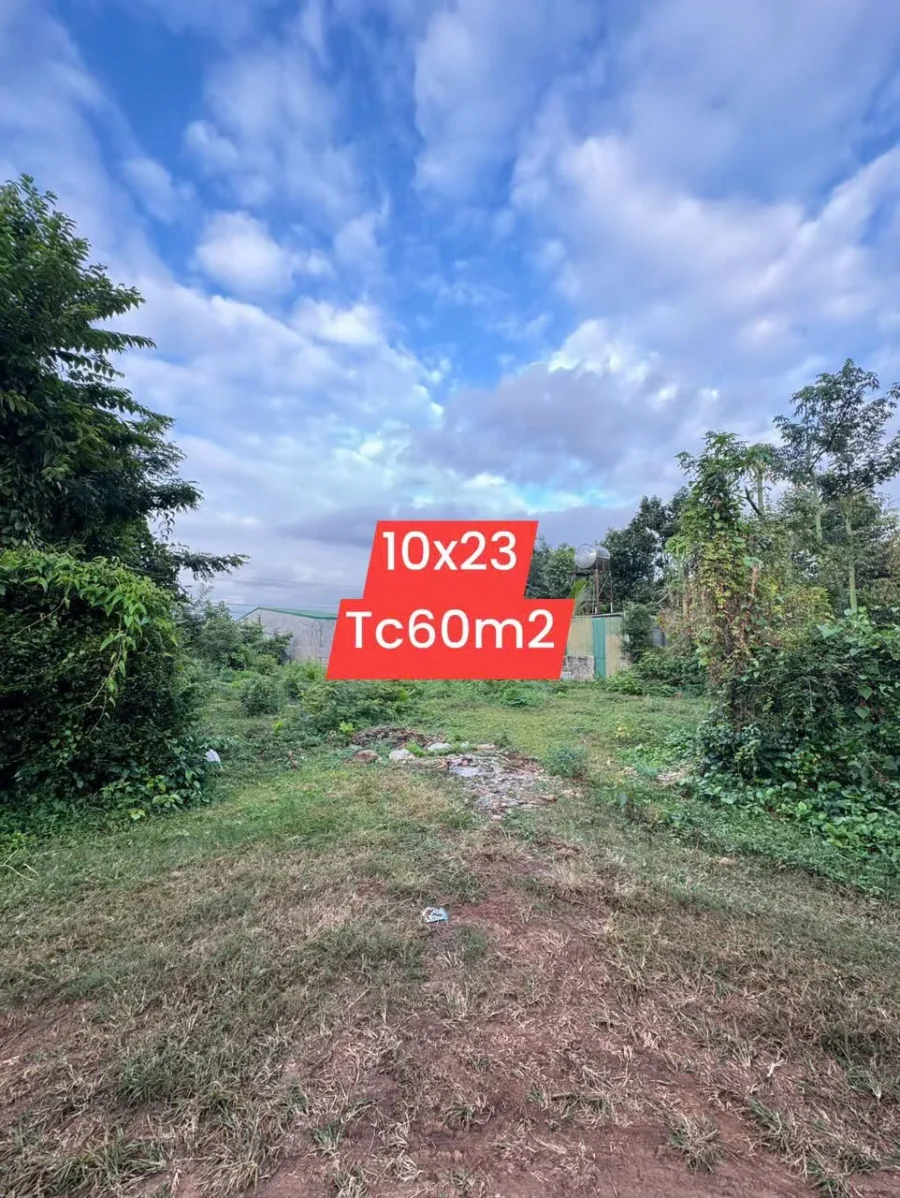 nhà vườn siêu víp