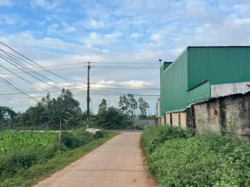 nhà vườn siêu víp