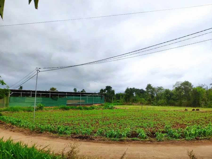 thị trấn Ea Pốk