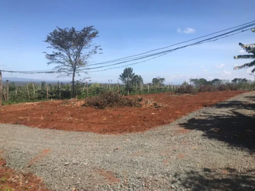 thổ cư Phường Cư Bao