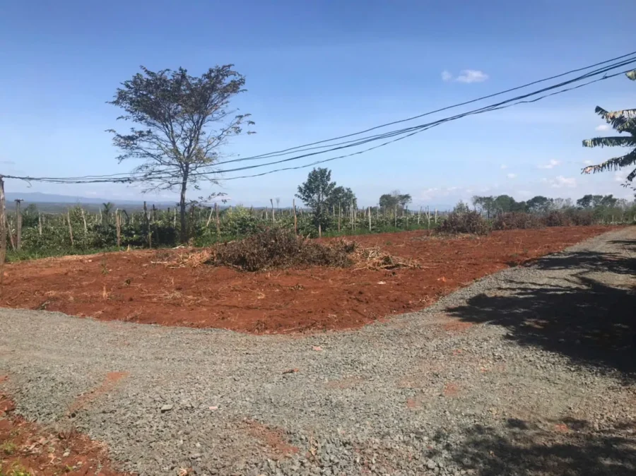 thổ cư Phường Cư Bao